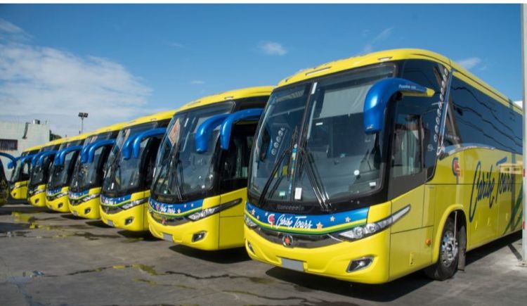 Plusieurs compagnies dominicaines suspendent temporairement leurs voyages sur Haïti