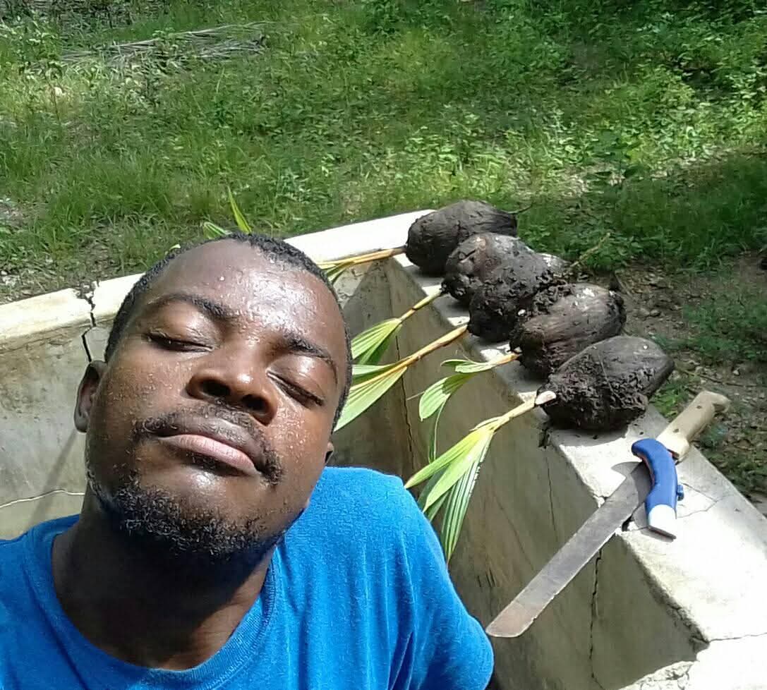 Le massacre des terres fertiles : Limonade ensevelie sous le béton